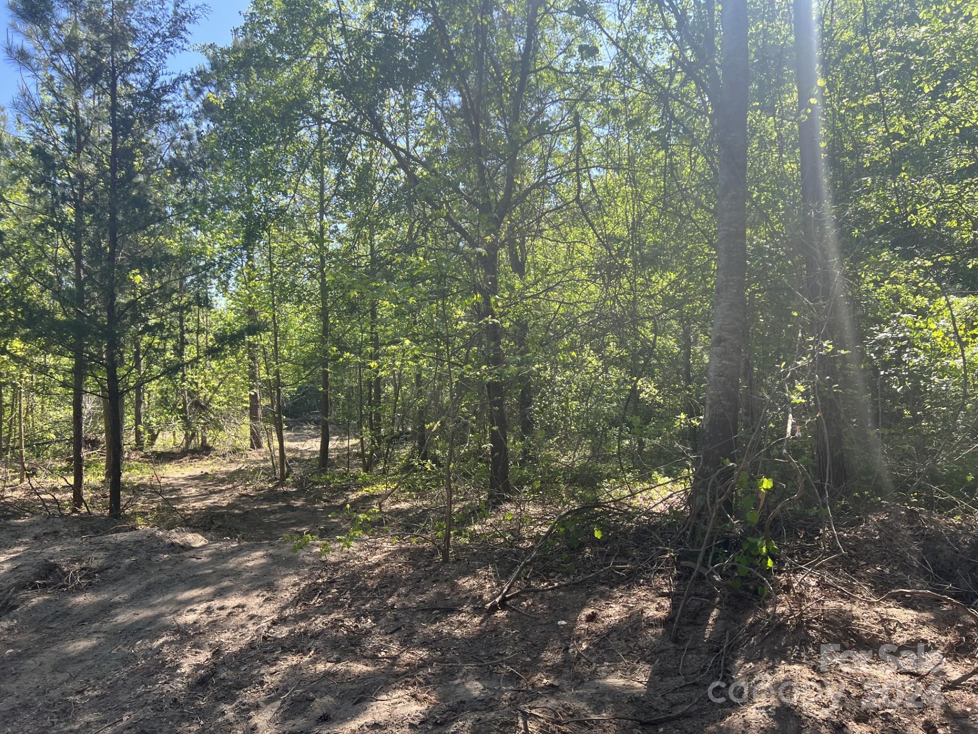 0 Isabel Lane Unit TRACT 9  