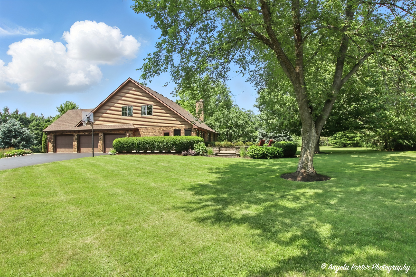 1815 Vineyard Lane Spring Grove, IL 60081 - Photo 2 of 42 Gallery Image 2