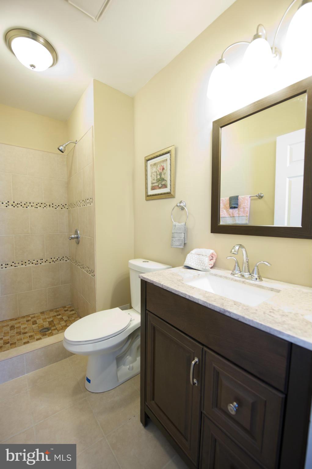 3823 Offutt Road Randallstown, MD 21133 - Photo 14 of 25 Bath (Master)