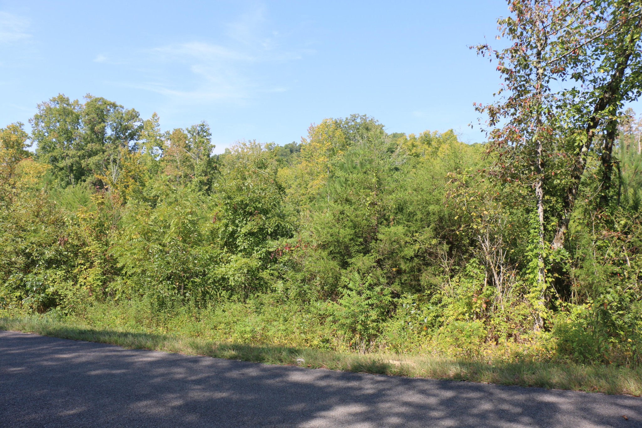 5 County Road 754 Riceville, TN 37370 - Photo 4 of 6 Gallery Image 4