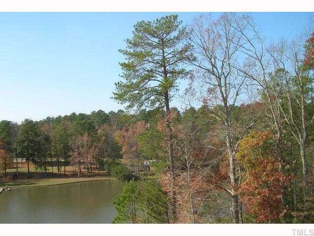 5313 Orabelle Court Raleigh, NC 27606 - Photo 10 of 10 community lake