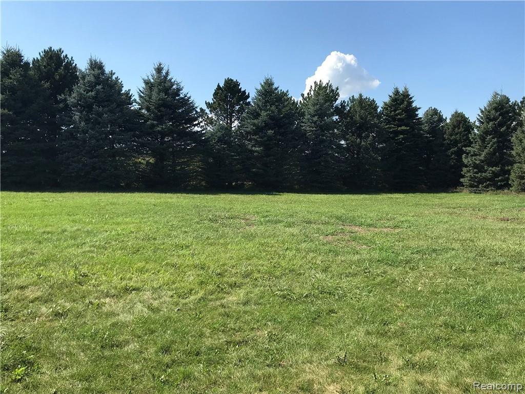 5110 South Sandusky Road Peck, MI 48466 - Photo 49 of 51 yard - back trees.jpeg