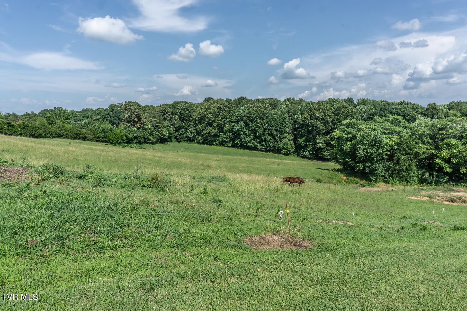 255 Jeffers Lane Limestone, TN 37681 - Photo 69 of 70 255JeffersLnL_043