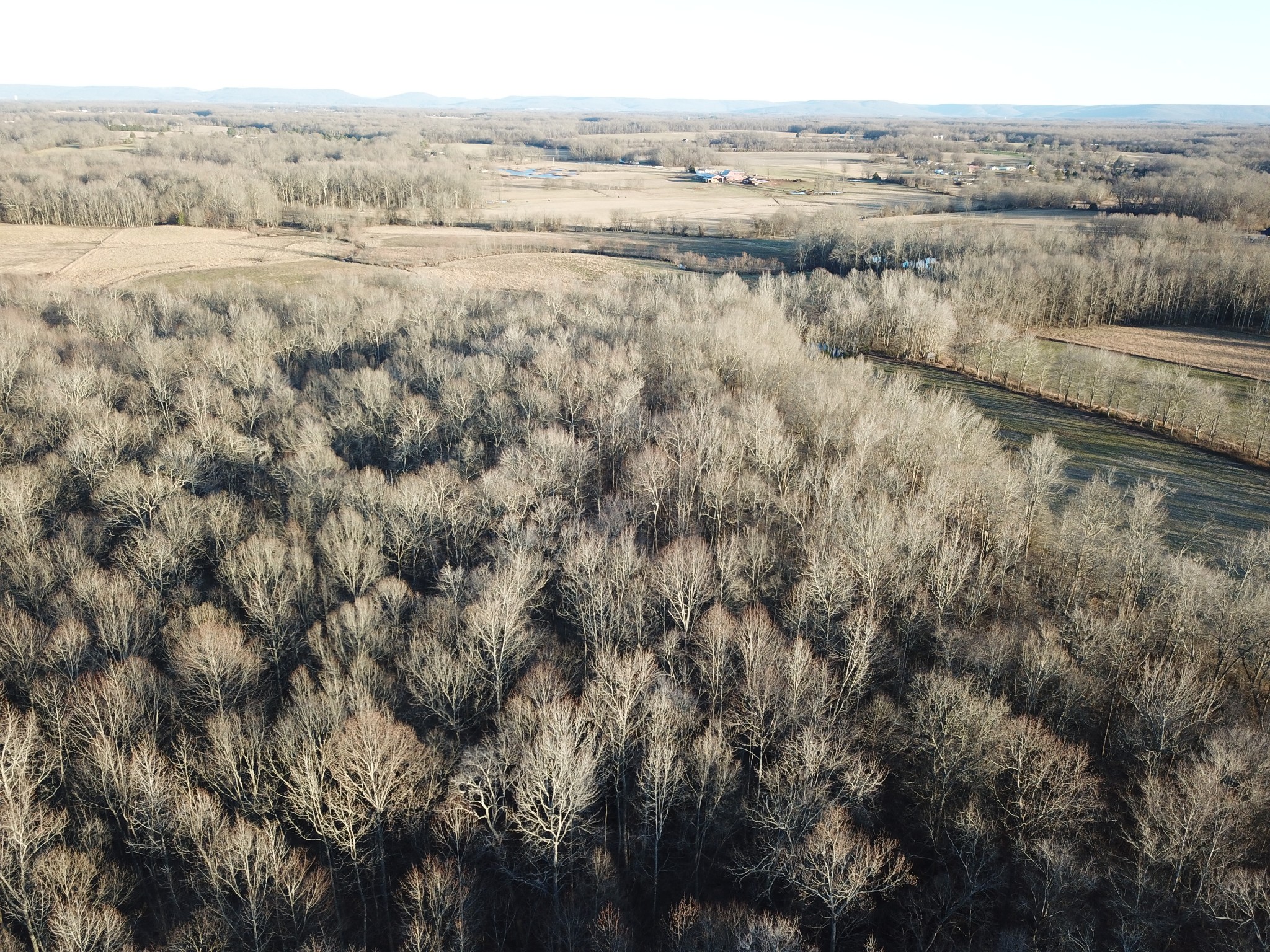 0 Summitville Road Morrison, TN 37357 - Photo 5 of 12 a view of an outdoor space and a yard