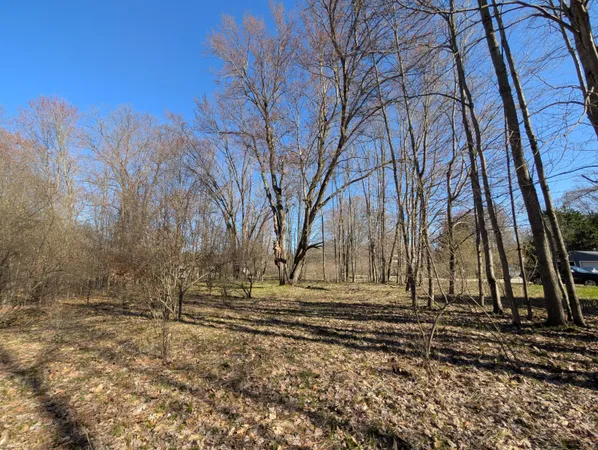 $49,900 | 6465 Fox Den, Unit 197, Custer, MI 49405