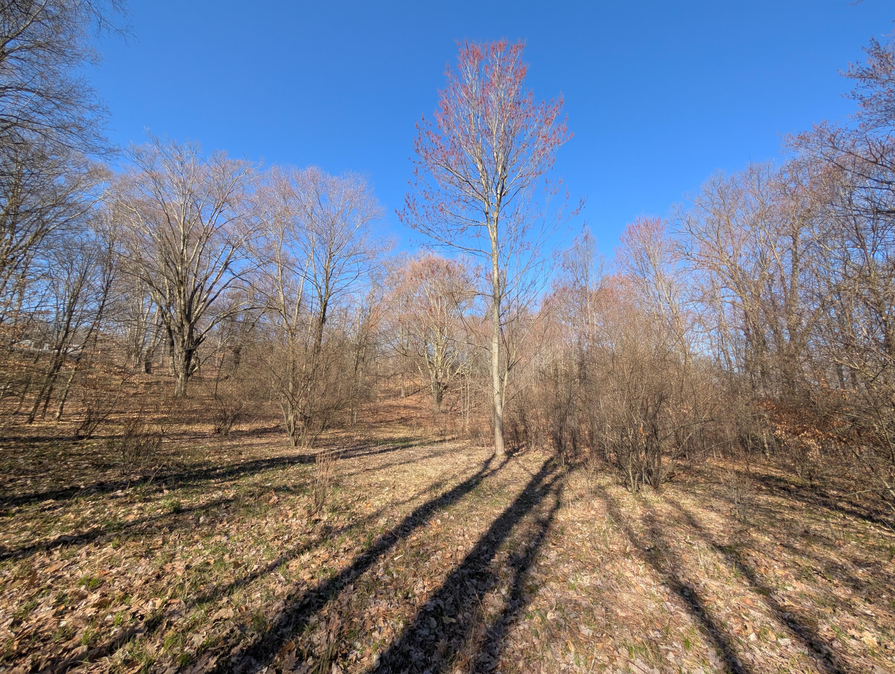 6465 Fox Den, Unit 197 Custer, MI 49405 - Photo 5 of 17 PXL_20260420_141051298
