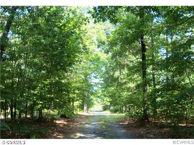 3737 Cedar Lane Road Kents Store, VA 23084 - Photo 9 of 10 a view of outdoor space and yard