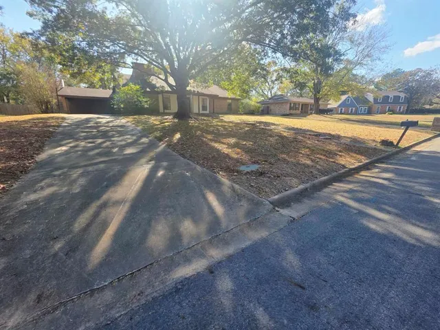 a view of an outdoor space with trees
