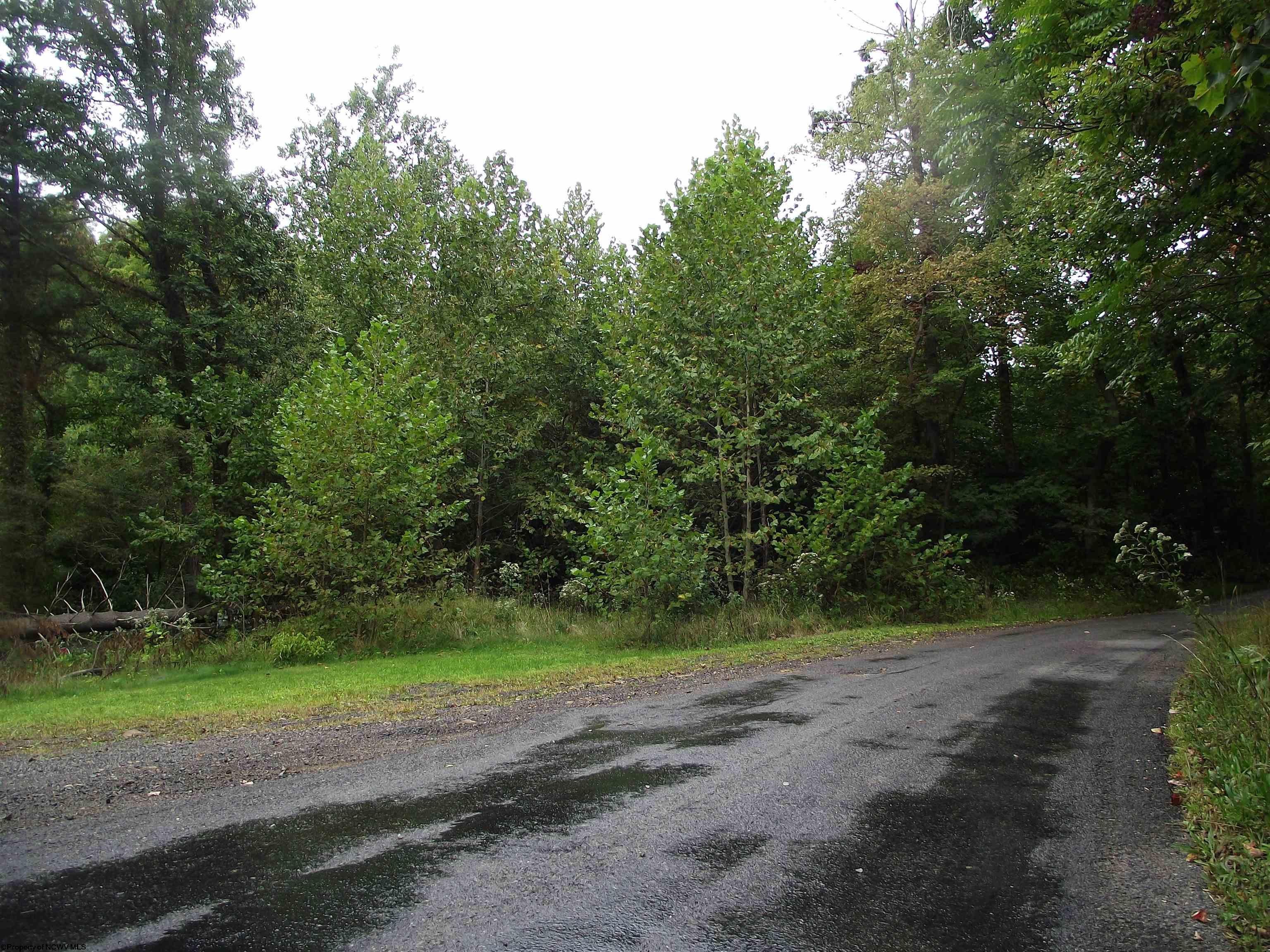 Tbd Lewellyn Road Morgantown, WV 26508 - Photo 11 of 18 Gallery Image 11