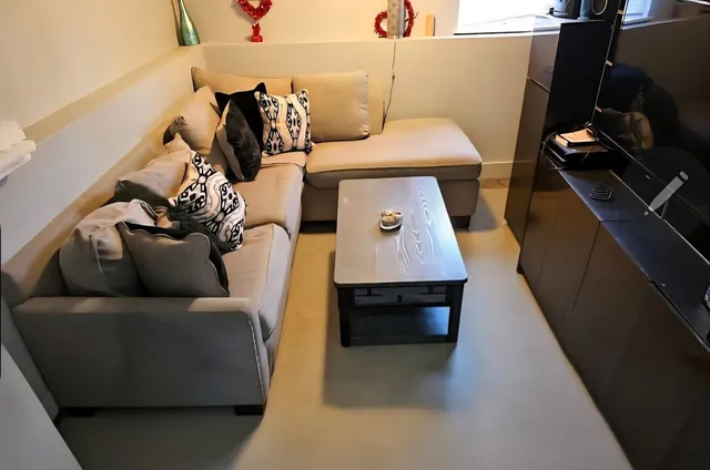 a view of a garden with trees