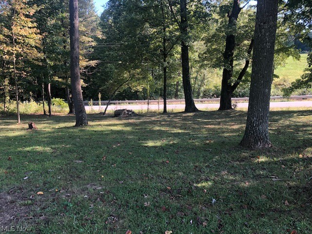17462 Salt Fork Road Southwest Newcomerstown, OH 43832 - Photo 8 of 34 Gallery Image 8
