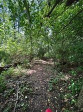0 Songo Pittsburgh, PA 15227 - Photo 12 of 14 a view of a forest that has a tree