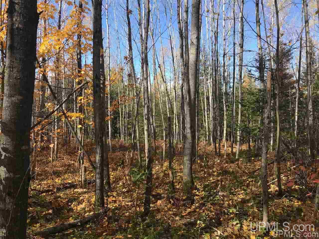 Tbd Co Rd 426 Cornell, MI 49818 - Photo 2 of 20