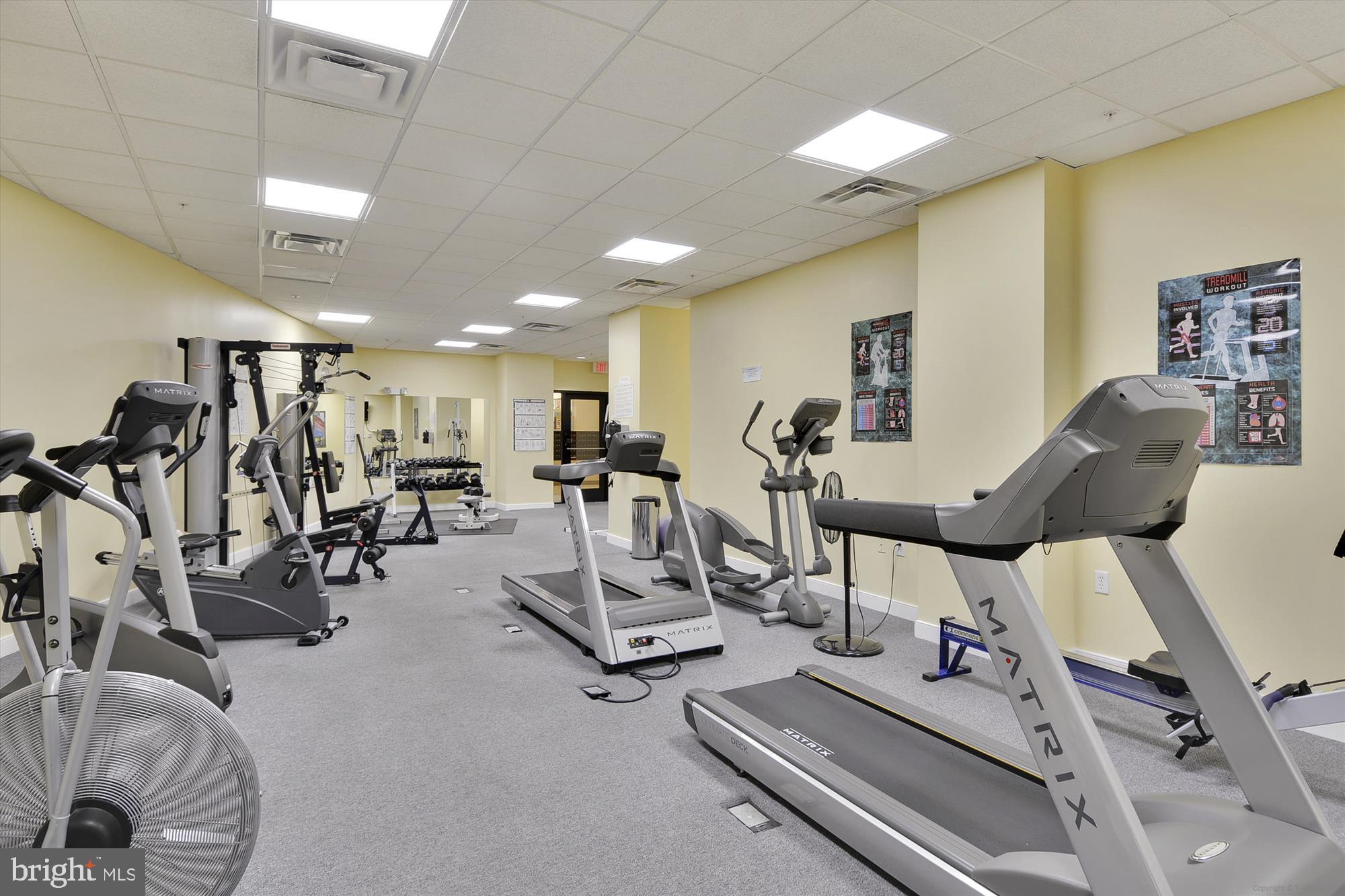 8045 Newell Street, Unit 319 Silver Spring, MD 20910 - Photo 47 of 66 a view of a room with gym equipment