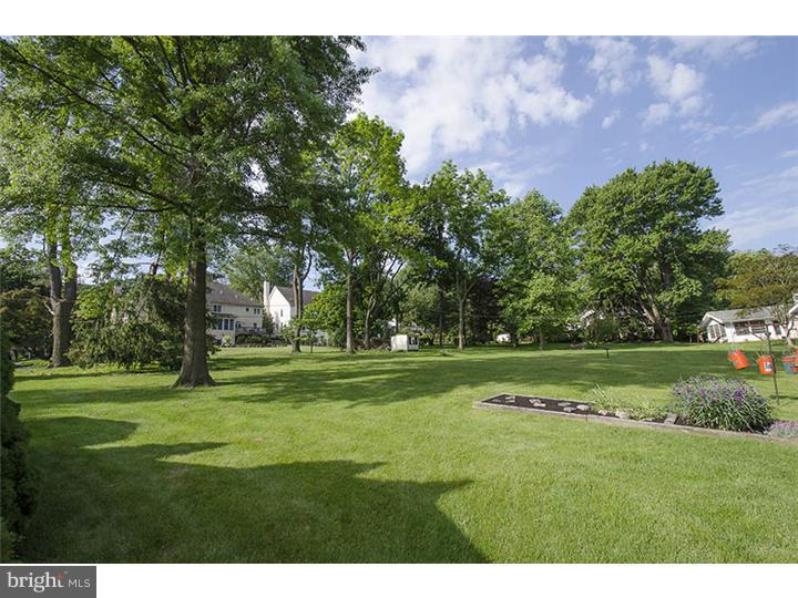 425 Meadowcroft Road Wayne, PA 19087 - Photo 13 of 14 Side Yard