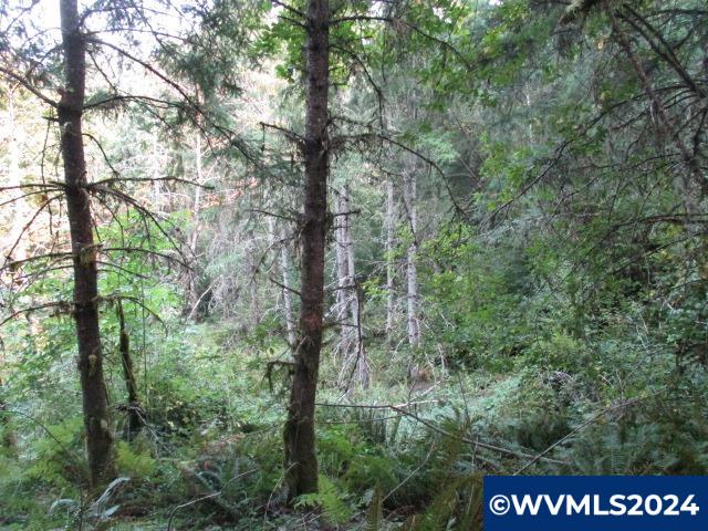 538231 Crooked Finger Road Scotts Mills, OR 97375 - Photo 10 of 14 Gallery Image 10