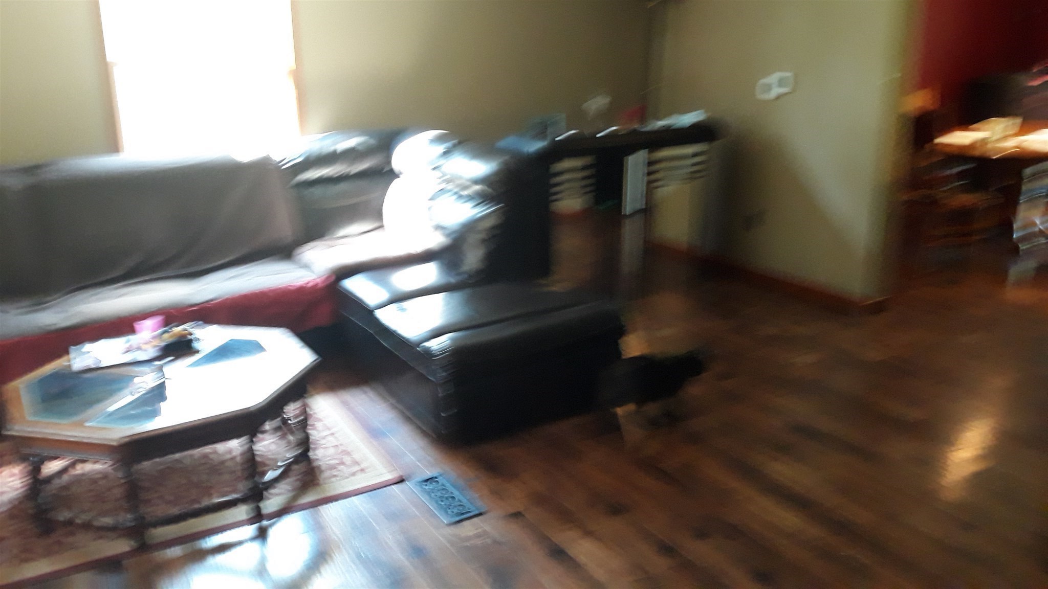 3311 New Road Freedom, IN 47431 - Photo 4 of 5