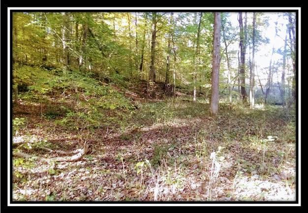 6250 Via-Ken Road Hopewell, OH 43746 - Photo 12 of 25