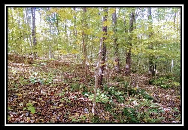 6250 Via-Ken Road Hopewell, OH 43746 - Photo 16 of 25