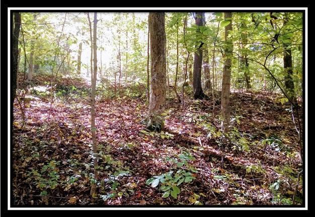 6250 Via-Ken Road Hopewell, OH 43746 - Photo 20 of 25