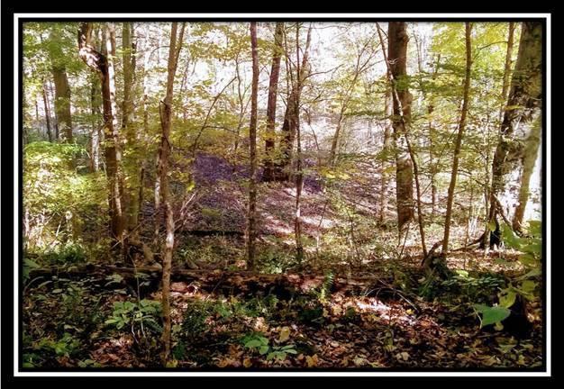 6250 Via-Ken Road Hopewell, OH 43746 - Photo 21 of 25