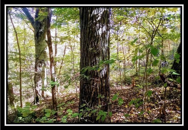 6250 Via-Ken Road Hopewell, OH 43746 - Photo 23 of 25