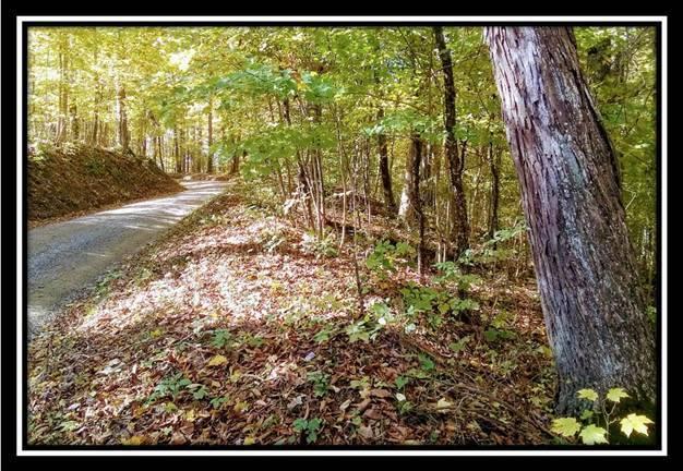 6250 Via-Ken Road Hopewell, OH 43746 - Photo 24 of 25