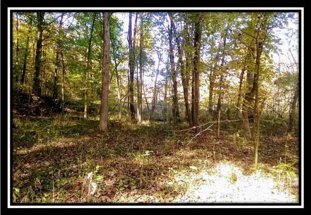 6250 Via-Ken Road Hopewell, OH 43746 - Photo 3 of 25