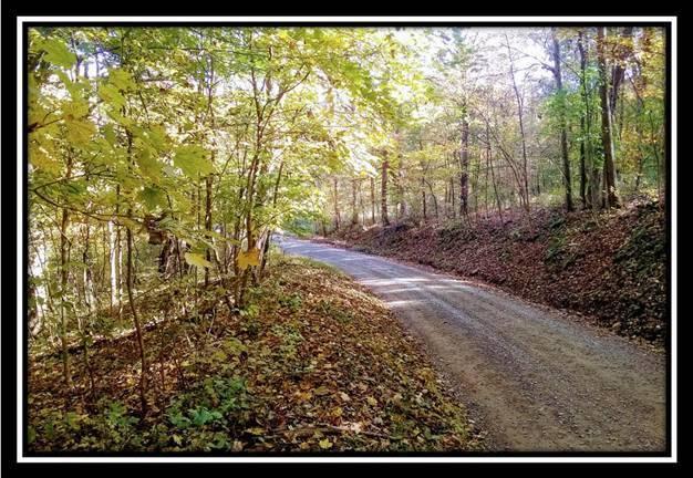 6250 Via-Ken Road Hopewell, OH 43746 - Photo 6 of 25