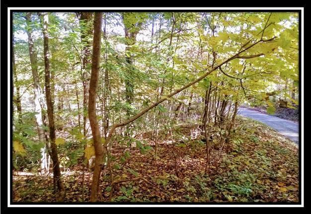 6250 Via-Ken Road Hopewell, OH 43746 - Photo 9 of 25