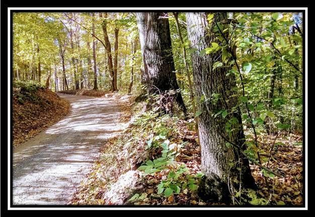 6250 Via-Ken Road Hopewell, OH 43746 - Photo 10 of 25