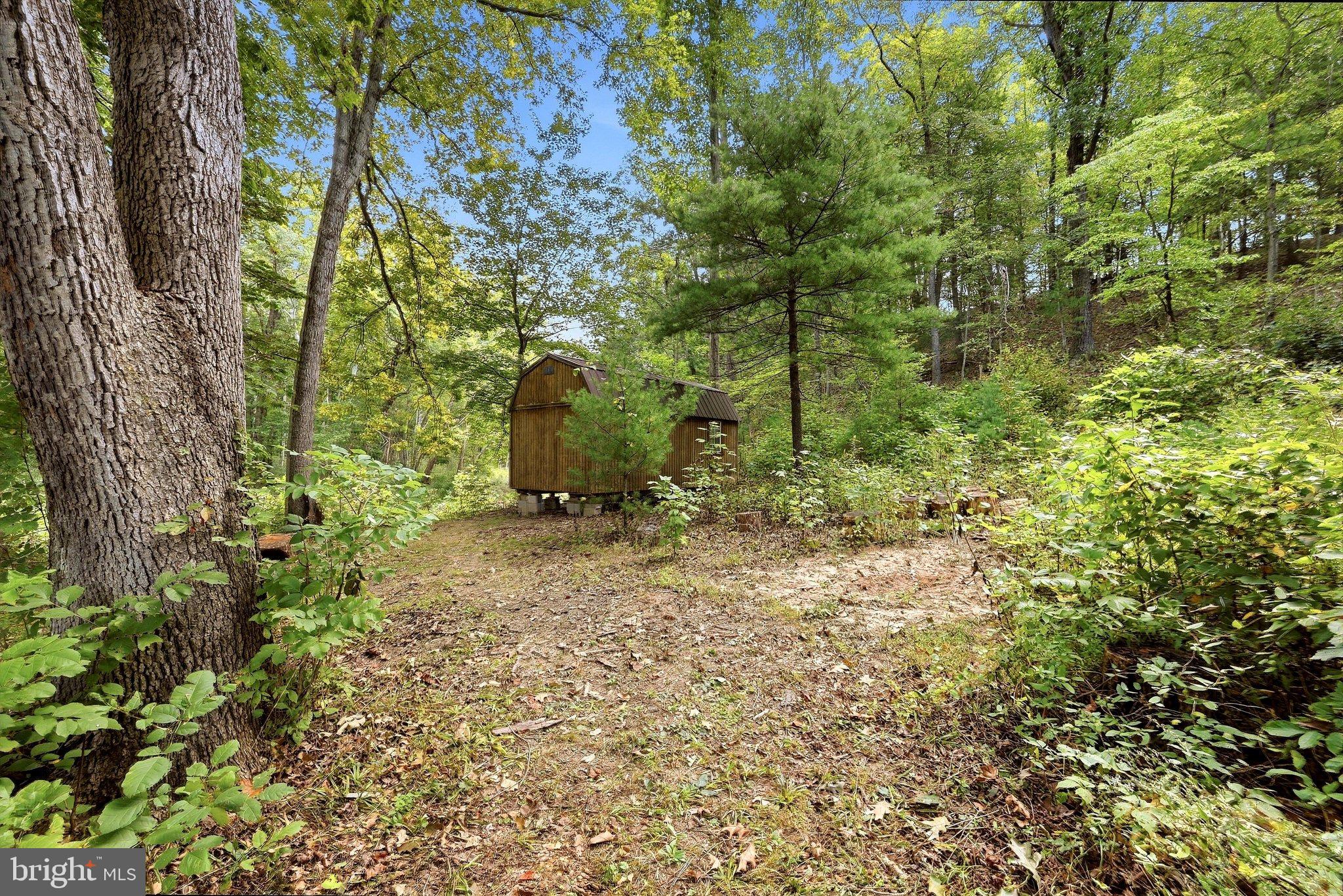 9184 Cold Stream Road Capon Bridge, WV 26711 - Photo 43 of 55 shed