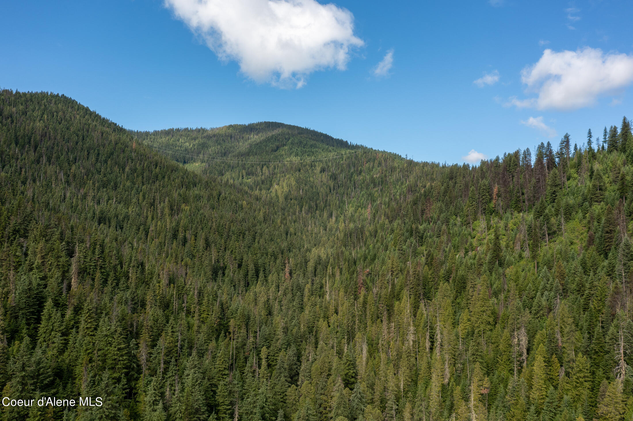 Nna Beaver Creek Road Wallace, ID 83873 - Photo 49 of 57 DJI_0722-HDR-8