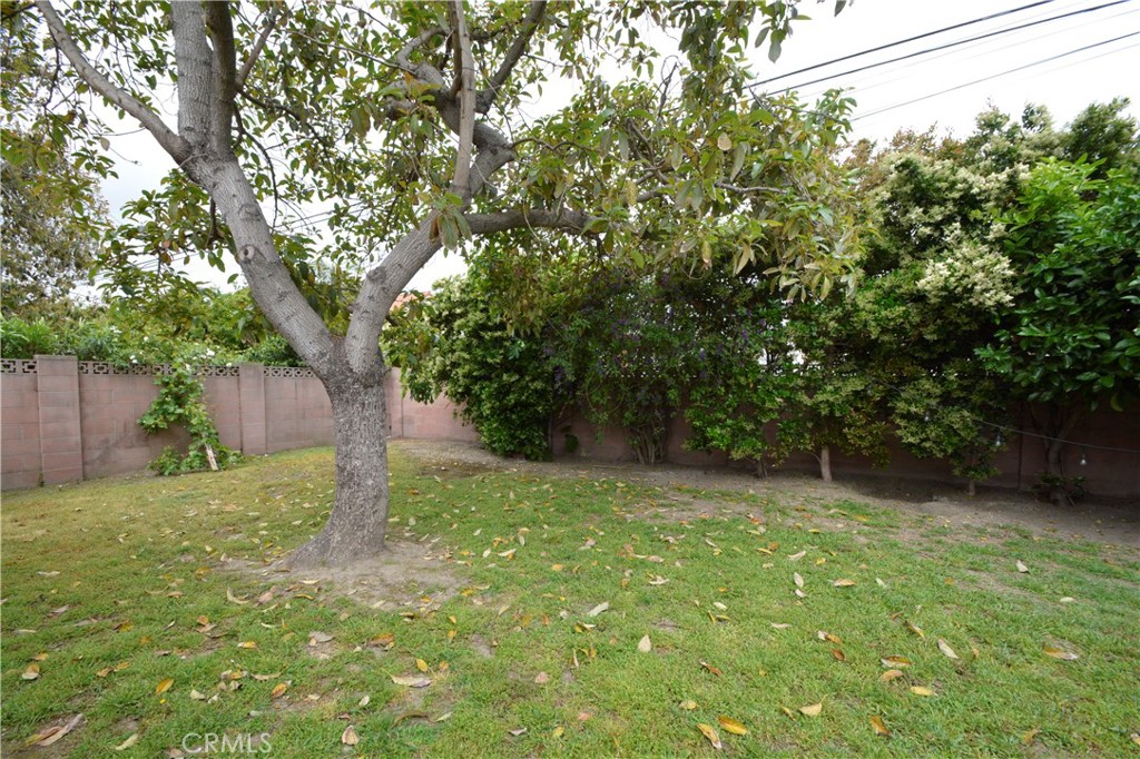 12301 Rives Avenue Downey, CA 90242 - Photo 17 of 20 a view of backyard with tree