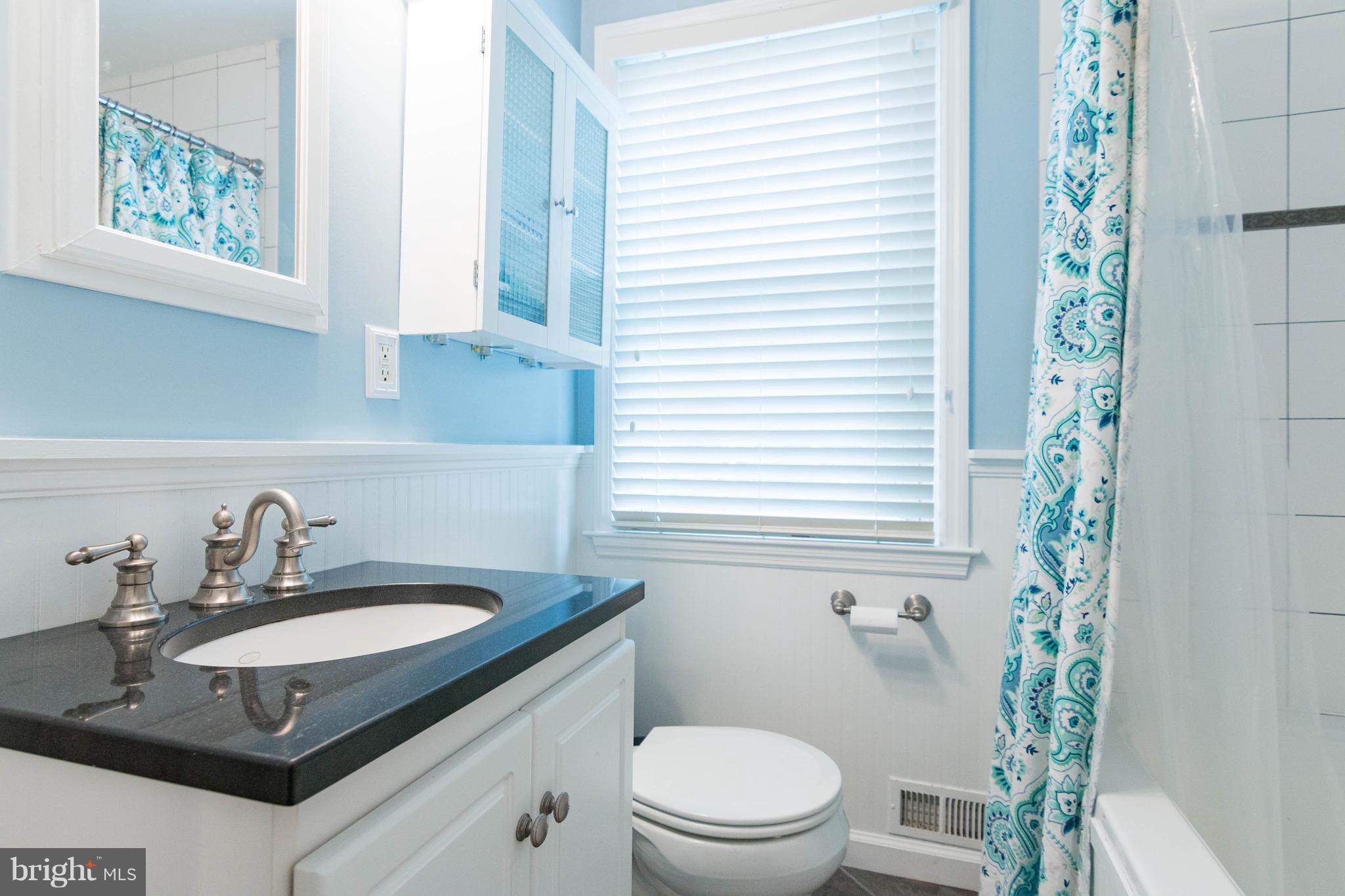101 Hopkins Road Baltimore, MD 21212 - Photo 18 of 30 Updated Bathroom