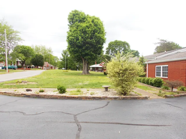 a view of a house with a yard and plants