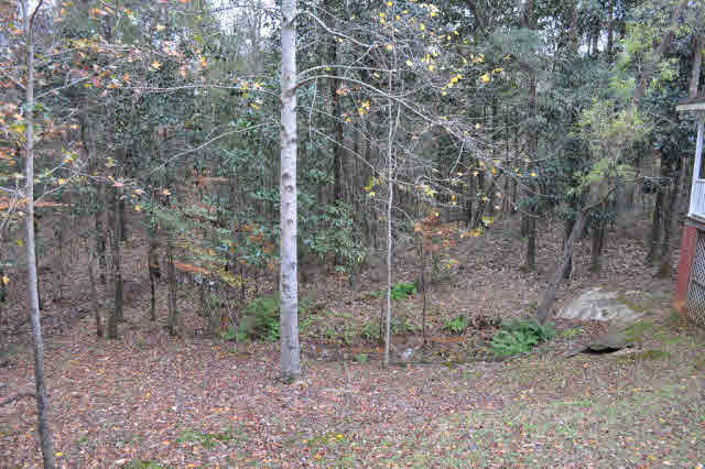 8008 Patricks Ldg Road Bay Minette, AL 36507 - Photo 7 of 33