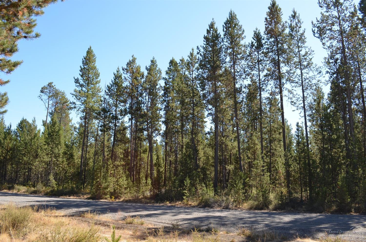 17115 Elsinore Road Bend, OR 97707 - Photo 1 of 9 Primary Photo