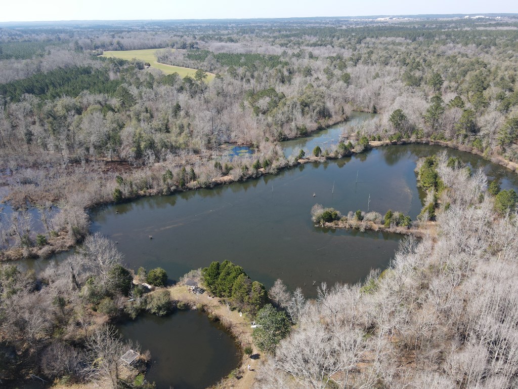 Undisclosed Address Ariton, AL 36311 - Photo 5 of 17