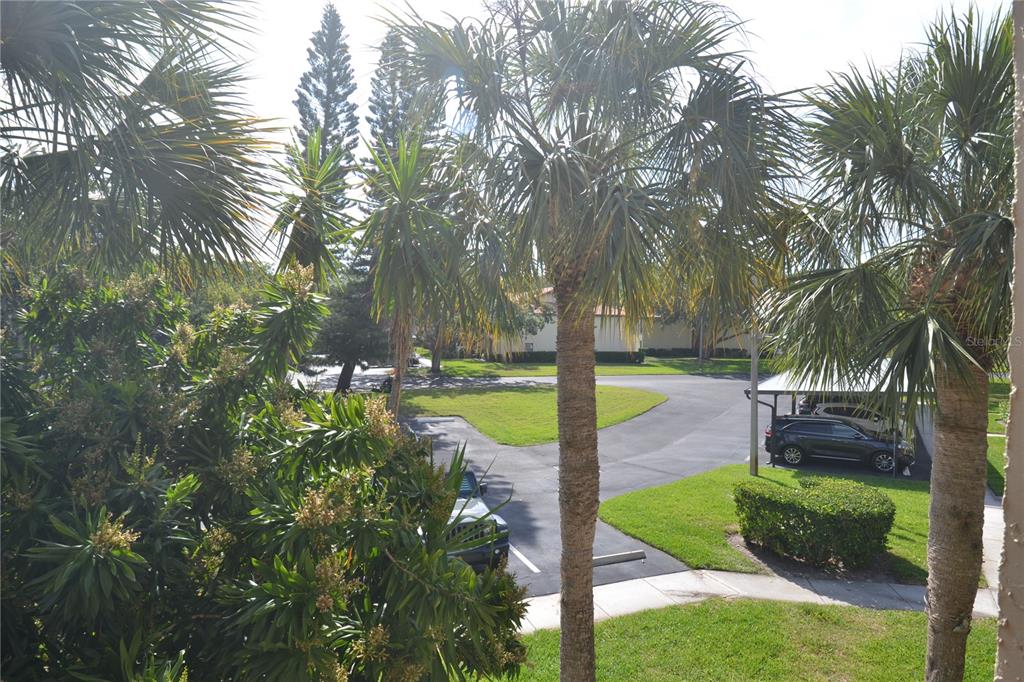 1801 East Lake Road South, Unit 9E Palm Harbor, FL 34685 - Photo 43 of 43