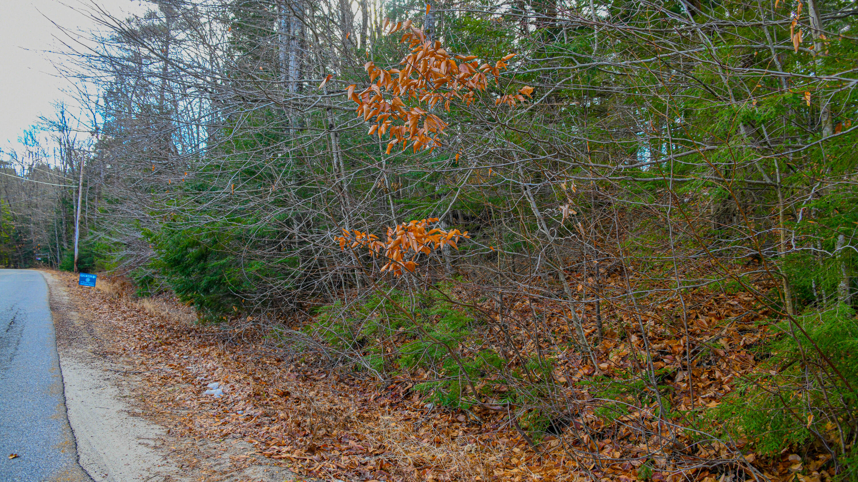 Lot 46 Penney Road New Gloucester, ME 04260 - Photo 10 of 13 00 penney road-58