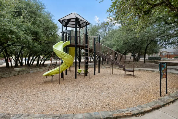 a view of a dry yard with large trees