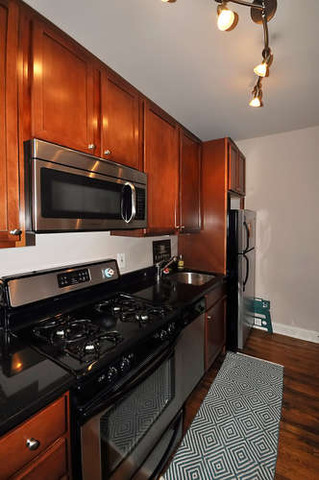 746 West Addison Street, Unit 2E Chicago, IL 60613 - Photo 14 of 16