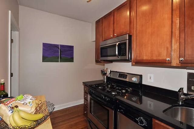 746 West Addison Street, Unit 2E Chicago, IL 60613 - Photo 15 of 16