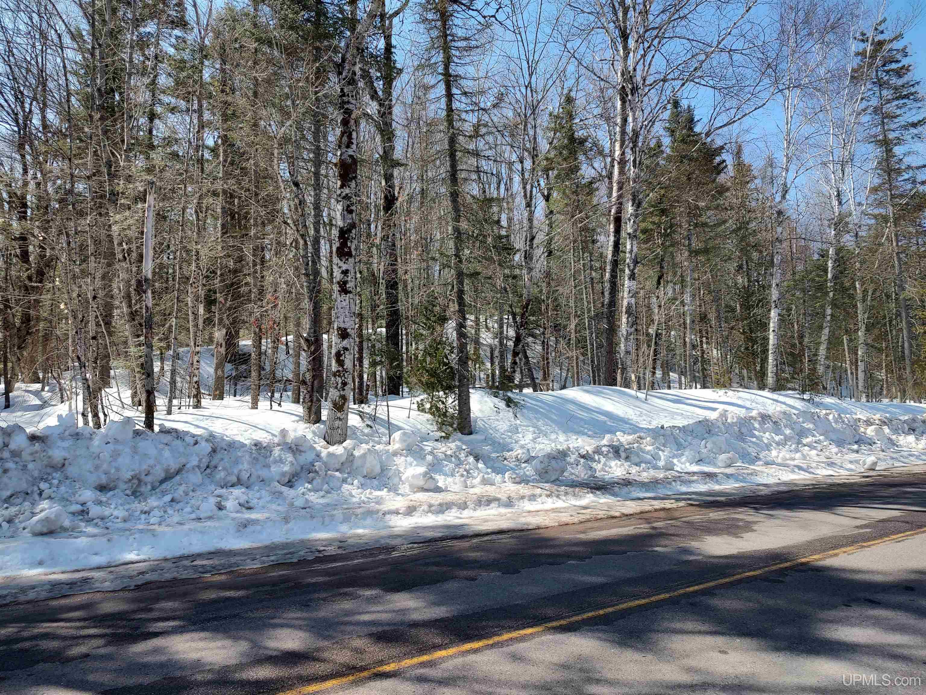 40-acres Little Lake Road Gwinn, MI 49841 - Photo 17 of 25