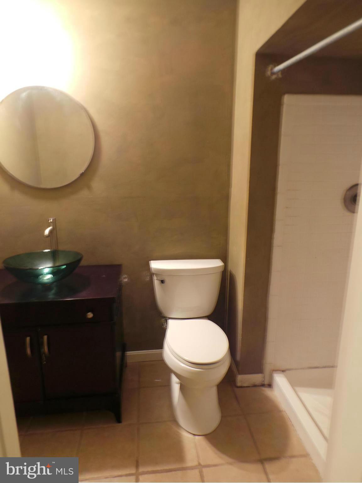 2654 Rainy Spring Court Odenton, MD 21113 - Photo 15 of 21 Full Bath with Shower in Basement