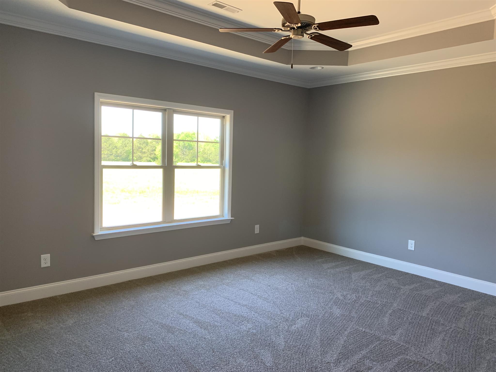 9993 McKee Road Lascassas, TN 37085 - Photo 16 of 30 Master bedroom with double tray ceiling.