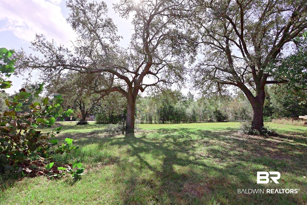 19180 Horseshoe Circle Seminole, AL 36574 - Photo 33 of 38 View of green lawn