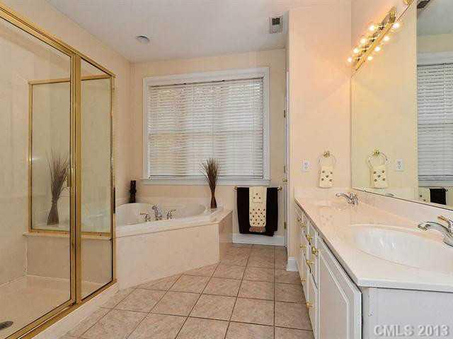 11087 Deep Cove Drive Tega Cay, SC 29708 - Photo 10 of 16