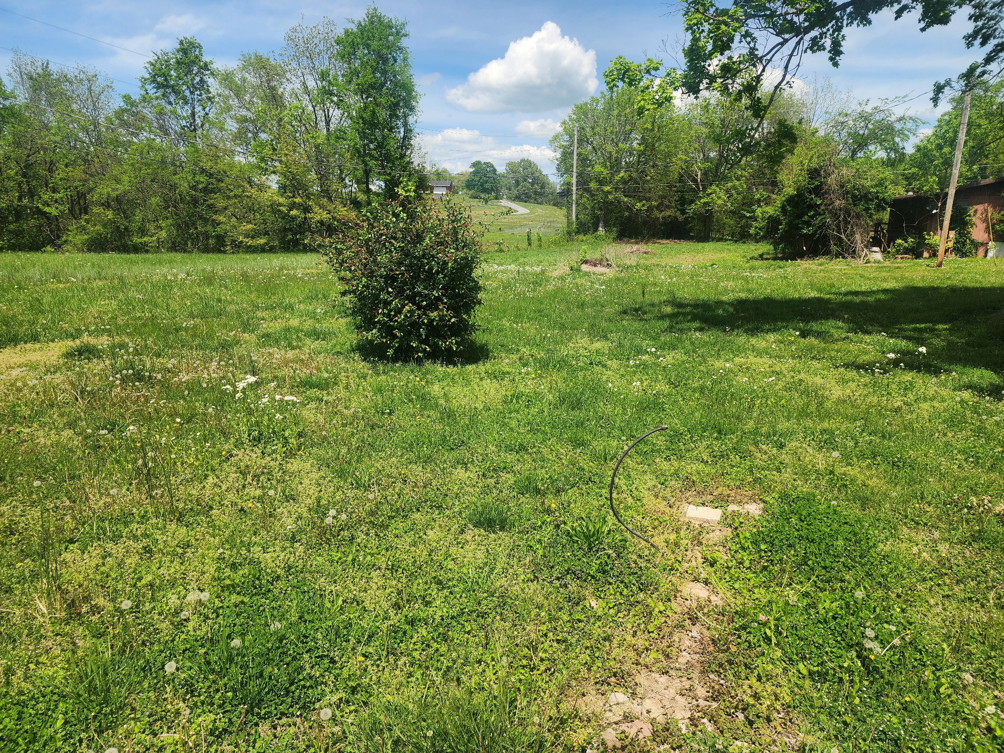 76 Boyds Landing Road Cadiz, KY 42211 - Photo 20 of 24